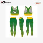 Fitness Bra And Leing